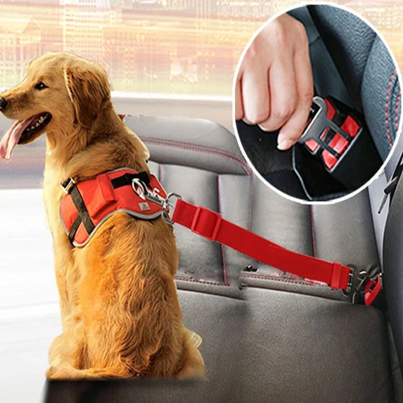 Arnés de Seguridad para Perros y Gatos – PetSafe Travel
